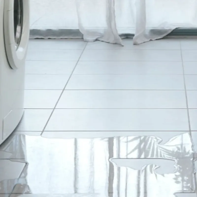Appliance Leak Cleanup in Hanover, VA