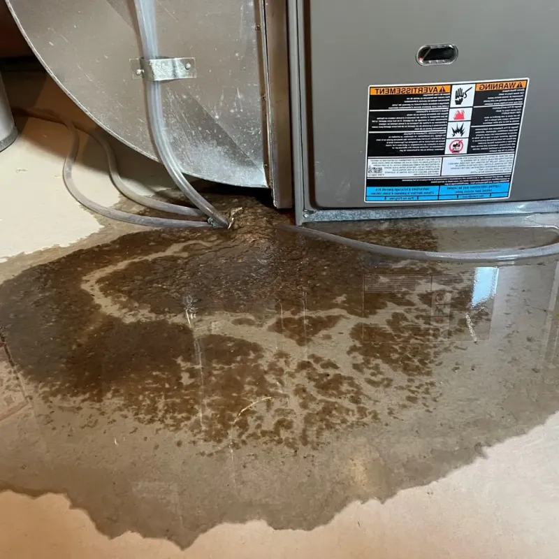 Pipe Burst and Leak Restoration in Hanover, VA